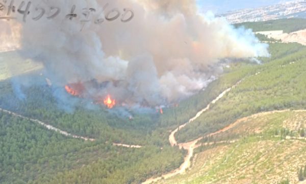 Gaziemir'de orman yangını!